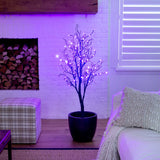 4' Pre-Lit Halloween Deluxe Black Twig Artificial Tree with 81 Orange & Purple LED Lights