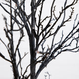4' Pre-Lit Halloween Deluxe Black Twig Artificial Tree with 81 Orange & Purple LED Lights