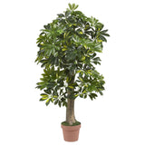 4' Schefflera Silk Tree (Real Touch)
