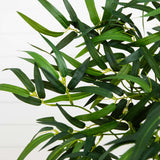 4' Twiggy Bamboo Tree