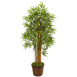 4.5' Bamboo Tree in Coiled Rope Planter
