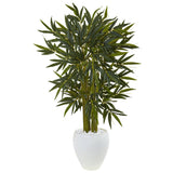 4.5' Bamboo Tree in White Oval Planter