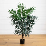 4.5' Bulb Areca Tree