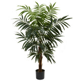 4.5' Bulb Areca Tree