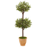 4.5' Olive Topiary Tree in Terracotta Pot