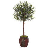 4.5' Olive Topiary Tree in Weave Panel Planter