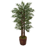 4.5' Parlour Palm Tree in Bamboo Planter