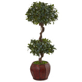 4.5' Sweet Bay Double Topiary Tree in Round Wood Planter