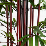 5' Bamboo Silk Tree w/Planter