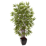 5' Bamboo Silk Tree w/Planter