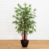 5' Bamboo Silk Tree w/Planter