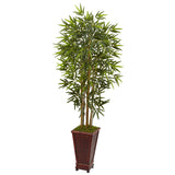 5' Bamboo Tree in Decorative Planter