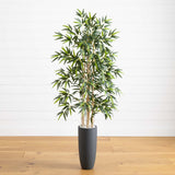 5' Bamboo Tree in Gray Cylinder Planter