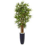 5' Bamboo Tree in Gray Cylinder Planter