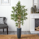 5' Bamboo Tree in Gray Cylinder Planter