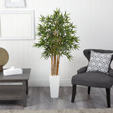 5' Bamboo Tree in White Tower Planter