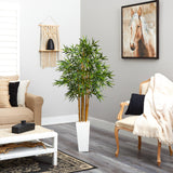5' Bamboo Tree in White Tower Planter