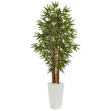 5' Bamboo Tree in White Tower Planter