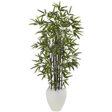 5' Black Bamboo Tree in White Oval Planter