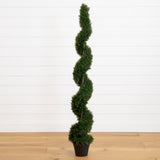 5' Cedar Spiral Silk Tree (In-door/Out-door)