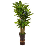5' Cornstalk Dracaena Artificial Plant in Planter (Real Touch)