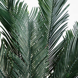 5' Cycas Tree UV Resistant (In-door/Out-Door)