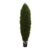 5' Cypress Tree UV Resistant (Indoor/Outdoor)