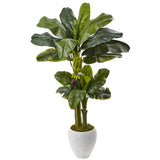 5' Double Stalk Banana Tree in White Planter