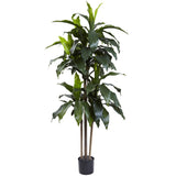 5' Dracaena Plant UV Resistant (Indoor/Outdoor)