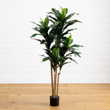 5' Dracaena Plant UV Resistant (Indoor/Outdoor)