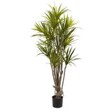 5' Dracaena Silk Tree