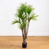 5' Dracaena Silk Tree