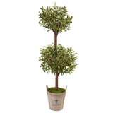 5' Olive Tree in Farmhouse Planter