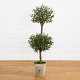 5' Olive Tree in Farmhouse Planter