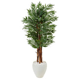5' Parlor Palm Tree in White Oval Planter