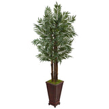 5' Parlor Palm Tree in Wooden Decorated Planter