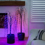 5' Pre-Lit Halloween Black Willow Artificial Fall Tree with 144 Orange & Purple LED Lights
