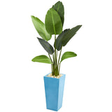 5' Travelers Artificial Palm Tree in Turquoise Planter