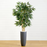 5.5' Bamboo Tree in Gray Cylinder Planter