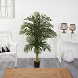 5.5' Double Robellini Palm Tree UV Resistant (Indoor/Outdoor)