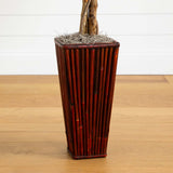 5.5' Ficus Tree w/Bamboo Planter