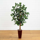 5.5' Ficus Tree w/Bamboo Planter
