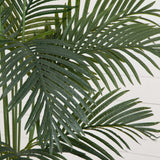 5.5' Paradise Artificial Palm Tree in Black Planter