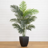 5.5' Paradise Artificial Palm Tree in Black Planter