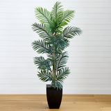 5.5' Paradise Palm Artificial Tree in Square Planter