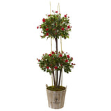 5.5' Rose Topiary Tree with Farmhouse Planter