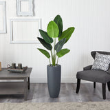 5.5' Traveler's Palm Artificial Tree in Gray Planter