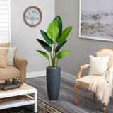 5.5' Traveler's Palm Artificial Tree in Gray Planter