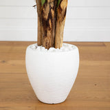 5.5' Triple Areca Palm Artificial Tree in White Planter