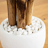 5.5' Triple Areca Palm Artificial Tree in White Planter